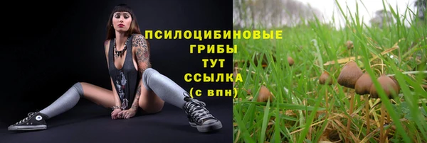 первитин Медногорск