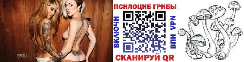 Галлюциногенные грибы MAGIC MUSHROOMS  купить  сайты  Рязань 